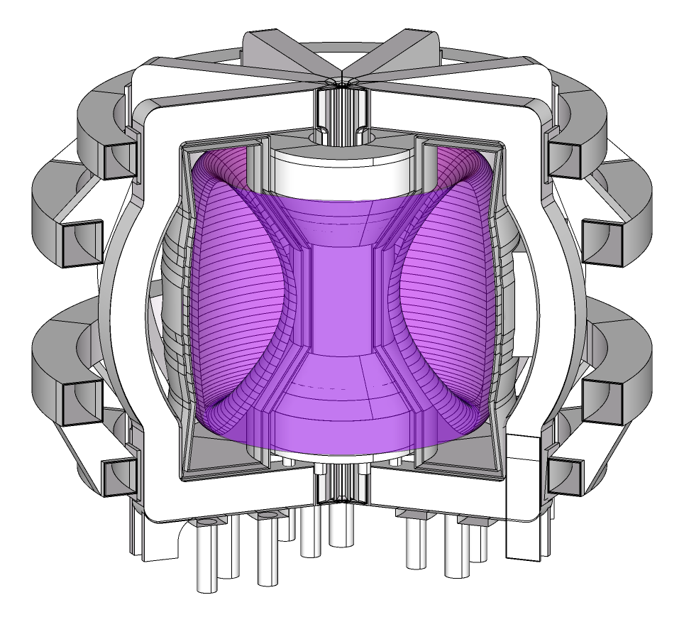 DANTE Fusion neutron source tokamak rendering